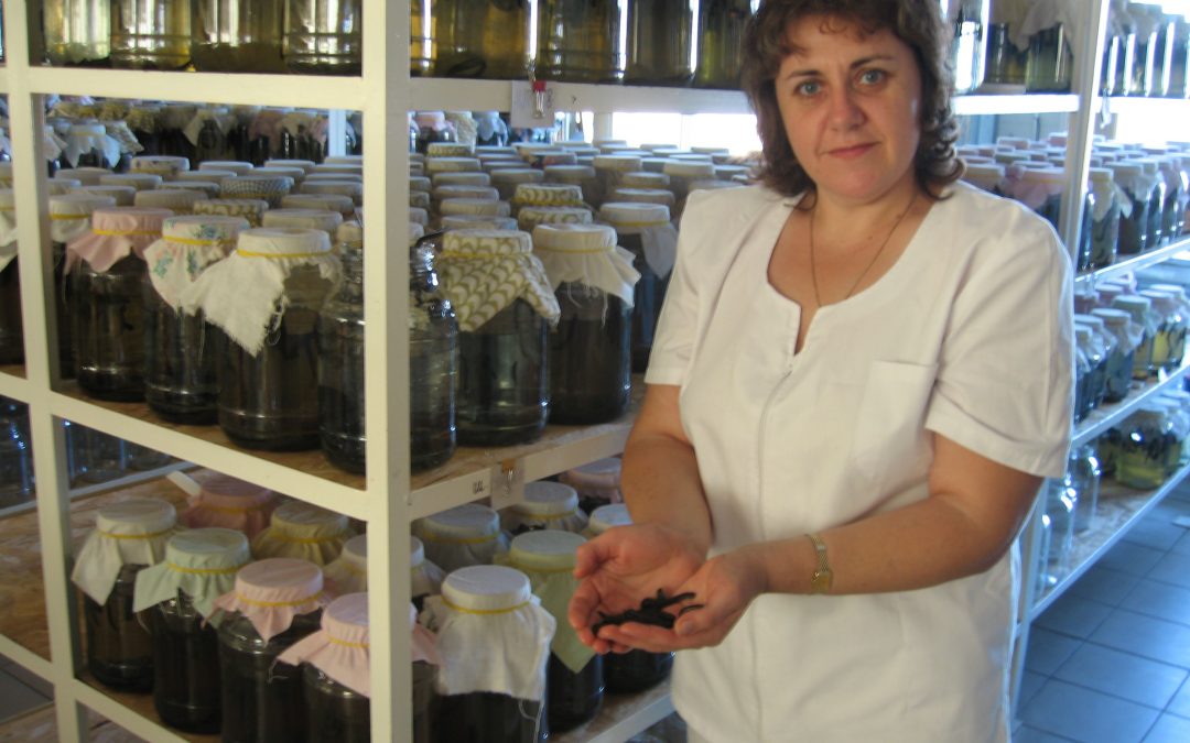 [:en]Veronica Burga[:]